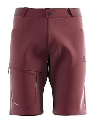 Cape Union Mart Salomon men's wayfarer shorts offer