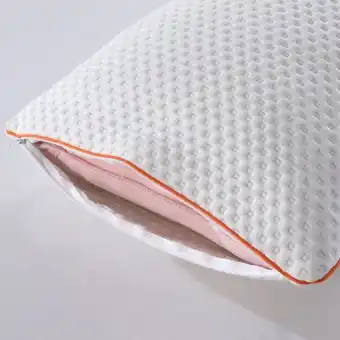OneDayOnly 2x emma or gabriela memory foam pillow offer