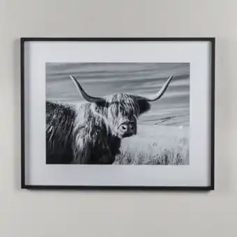 Weylandts Fragment horns artwork offer