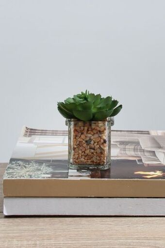 Assorted mini glass faux succulent
