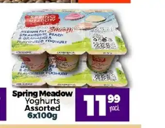 Take 'n Pay Spring Meadow Yoghurts Assorted 6x100g offer