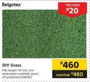 Builders Warehouse Belgotex DIY Grass offer