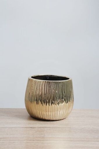 Sheet Street Decorative planter offer