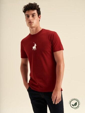 Polo Sport pony tee offer