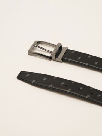 Polo Dakota belt offer