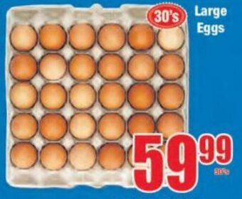 Boxer Large Eggs 30's offer
