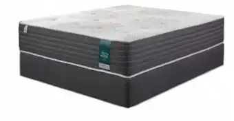 Forty winks megasleep plush king bed set extra length
