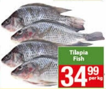Check Save Tilapia Fish per kg offer