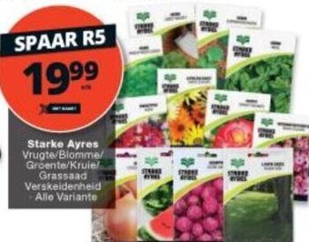 Starke Ayres