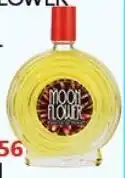 Africa Cash and Carry Moon Flower Perf 51228 offer
