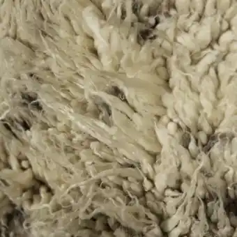 Atlas moroccan shaggy
