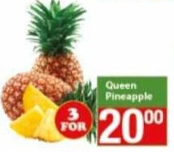 3 x Queen Pineapple