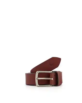 Cape Union Mart Old khaki women's kodiak leather belt offer