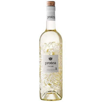 Norman Goodfellows Protea pinot grigio 750ml offer