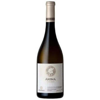 Norman Goodfellows Avondale anima chenin blanc 750ml offer