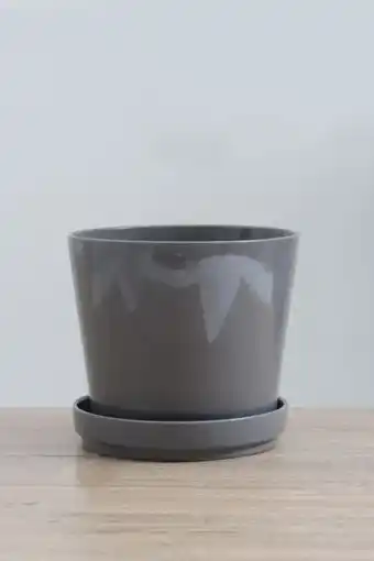 Sheet Street Decorative planter with a drip planter offer