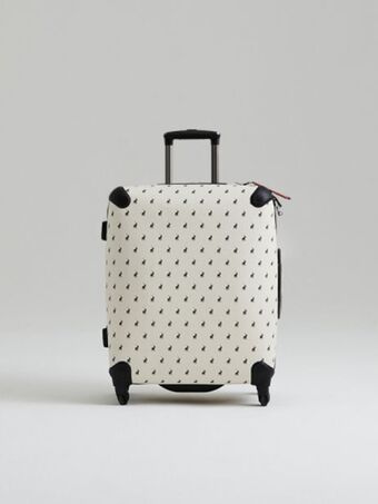 Classic small trolley luggage