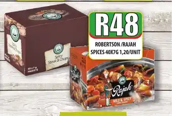 Robertson / Rajah Spices 40x7G