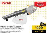 Builders Warehouse Ryobi blower mulching vacuum offer