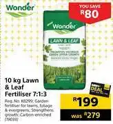 Builders Warehouse Wonder 10kg lawn & leaf fertiliser 7:1:3 offer