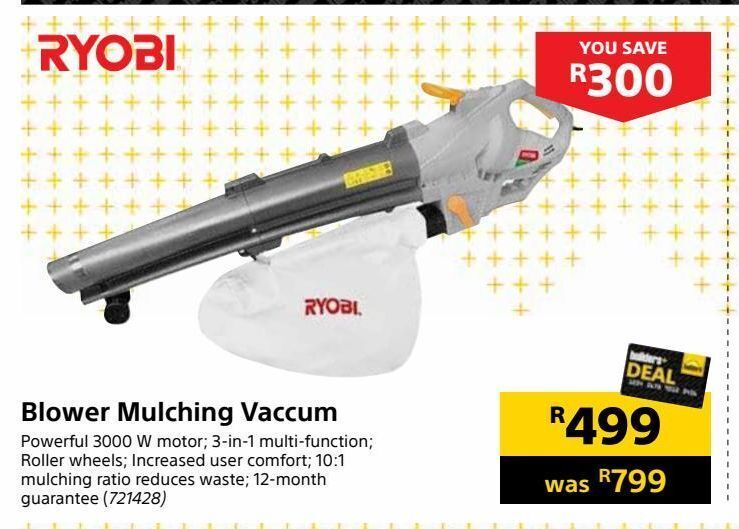 Blower mulching vaccum offer at Builders Warehouse