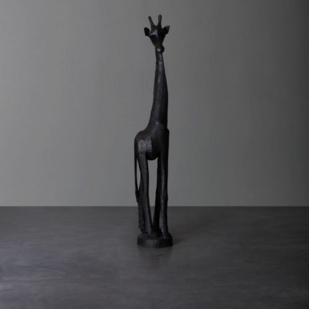 Weylandts Baby swazi giraffe offer