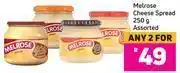 Melrose cheese spread assorted- for any 2 x 250g