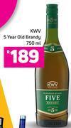 Game Kwv 5 year old brandy-750ml offer