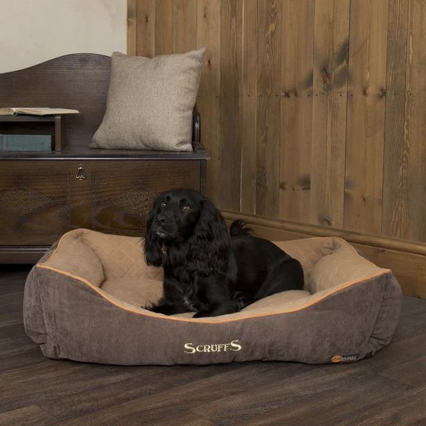 OneDayOnly Thermal self-heating pet bed offer