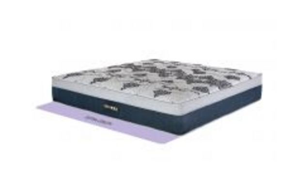 Sleepmasters Restonic napier 183cm (king) firm mattress extra length offer