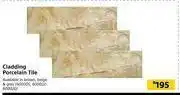 Builders Warehouse Cladding Porcelain Tile offer