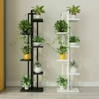 OneDayOnly 5-tier garden rack stand offer