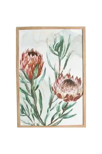 Framed aloe wall art