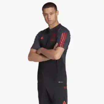 Totalsports Men's adidas belgium tiro 23 training jersey offer