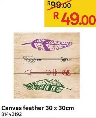 Canvas Feather 30x30cm