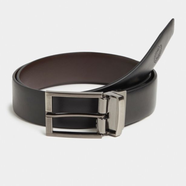 fabiani belt price