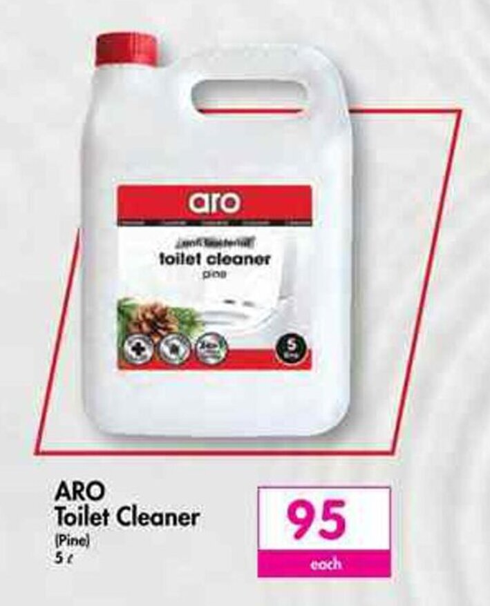 ARO Toilet Cleaner pine 5L offer at Makro