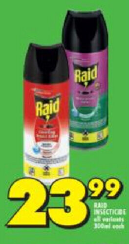 Raid Insecticide 300ml