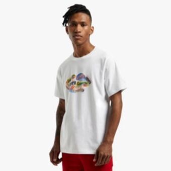 Sportscene Converse men's graphic white t-shirt offer