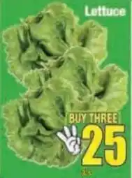 Boxer Lettuce offer