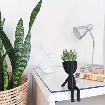 3x mr larry pot planters