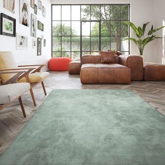 OneDayOnly Two town opus rug offer