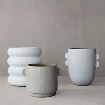Amazon planter range