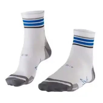 Sportsmans Warehouse Falke pedal pressure free midcalf stripe socks offer