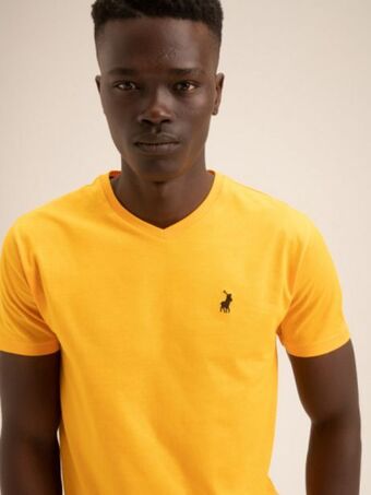 Polo Men vneck tee offer