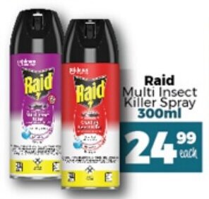 Take 'n Pay Raid Multi Insect Killer Spray 300ml offer