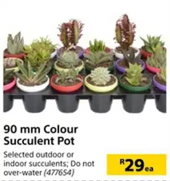 Builders Warehouse 90mm Colour Succulent Pot offer