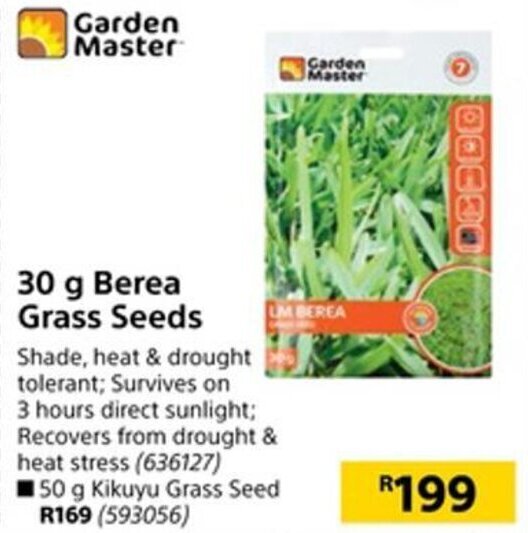 Garden Master 30g Berea Grass Seeds offer at Builders Warehouse