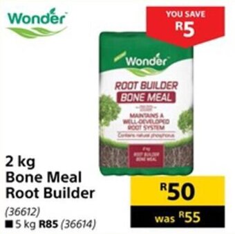 Builders Warehouse Wonder 2kg Bone Meal Root Builder offer