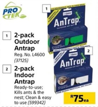Pro Tek 2-pack Outdoor Antrap